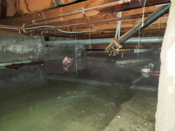 Trusted Thermalito, CA Water damage restoration Experts